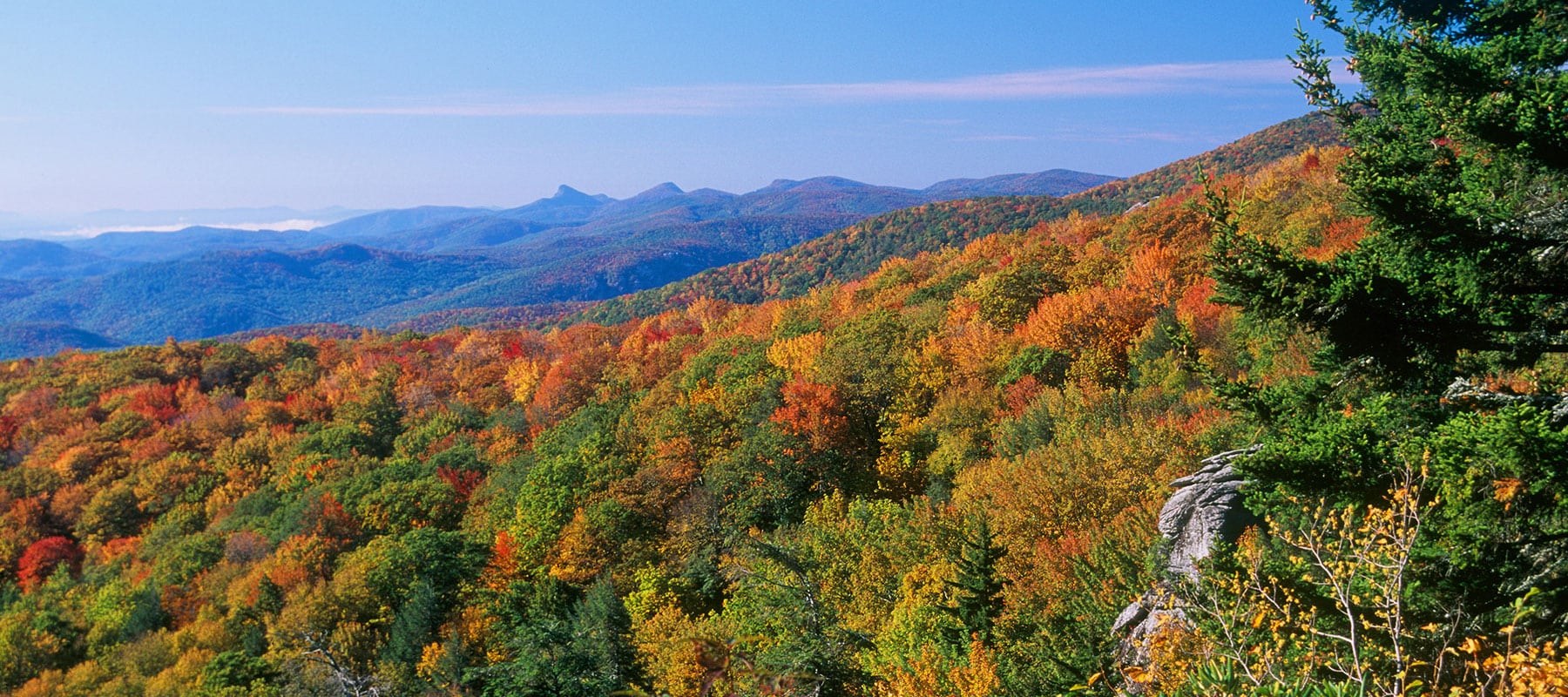 Antler Realty Banner Elk Real Estate Sugar Mountain