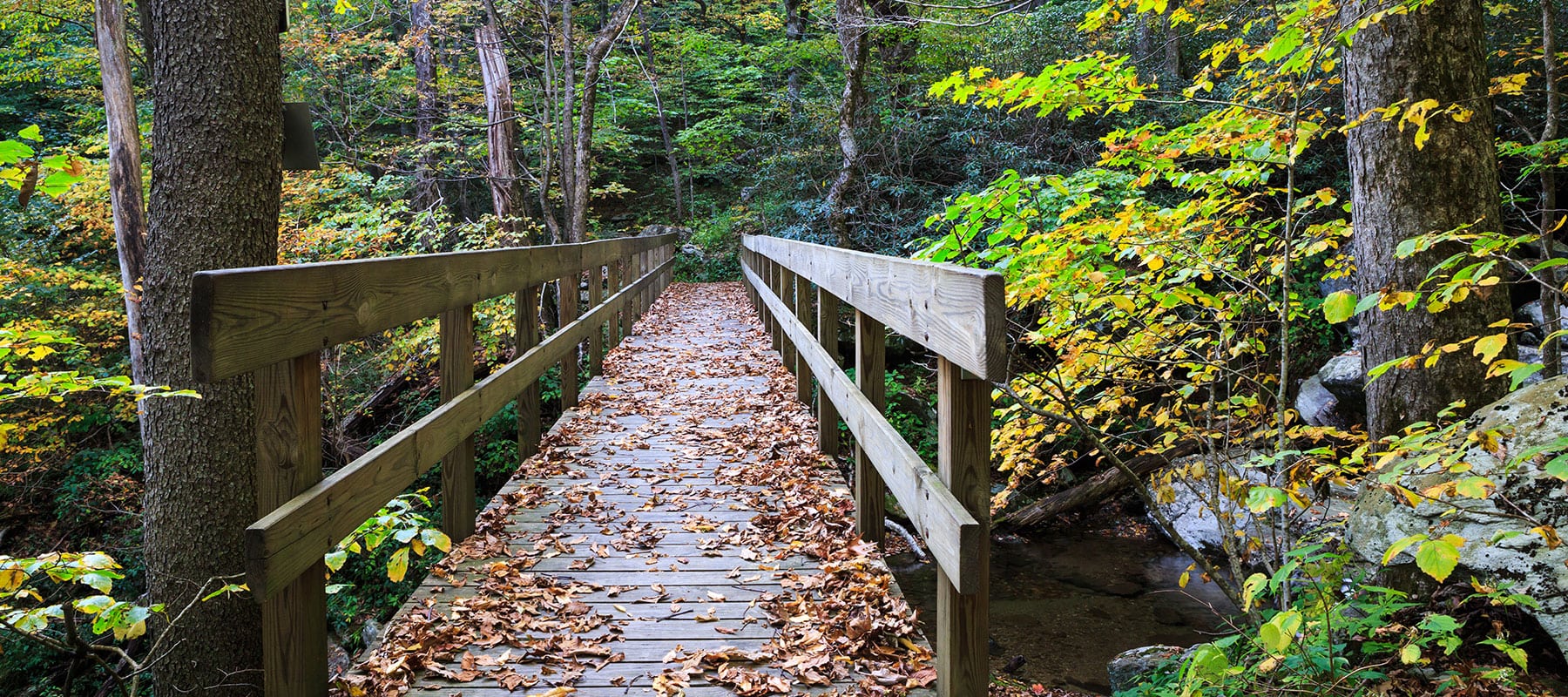 Antler Realty Banner Elk Real Estate Sugar Mountain